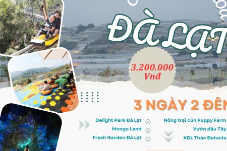 DELIGHT PARK – CAO NGUYÊN HOA ĐÀ LẠT