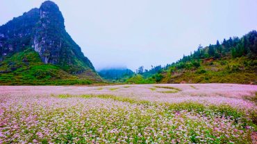 🌸 HÀ GIANG – VẺ ĐẸP BỐN MÙA KHÔNG NƠI NÀO SÁNH BẰNG 🌿